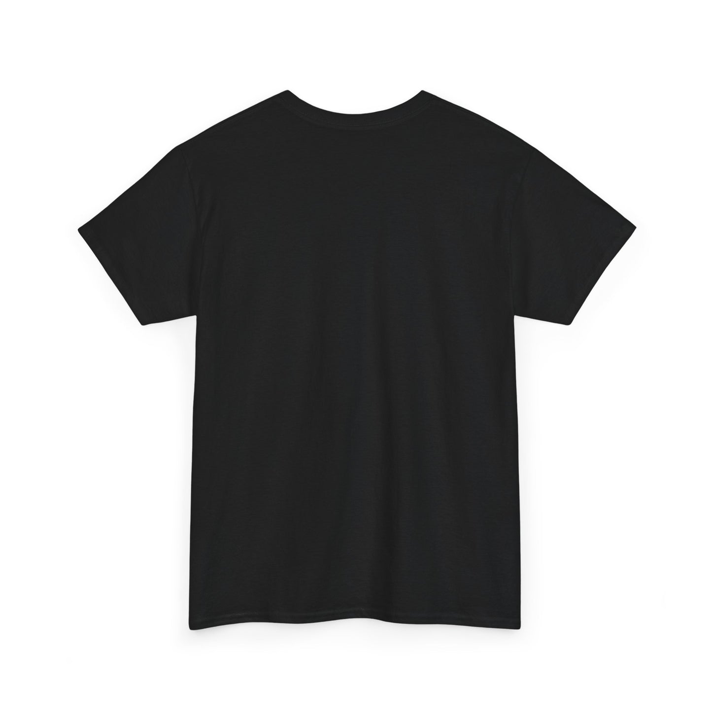 Funny Tee Shirt