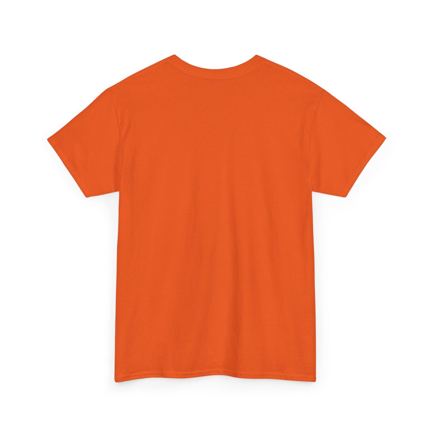 Funny Tee Shirt