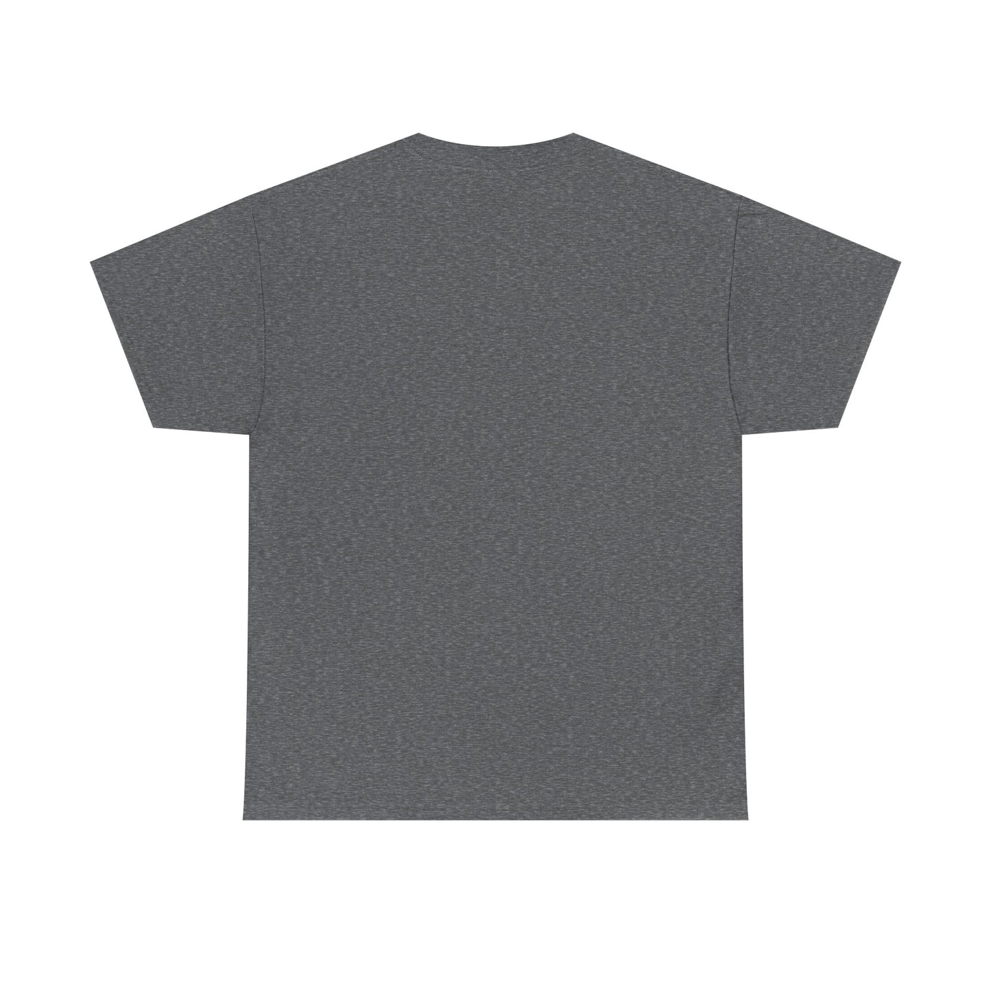 Funny Tee Shirt