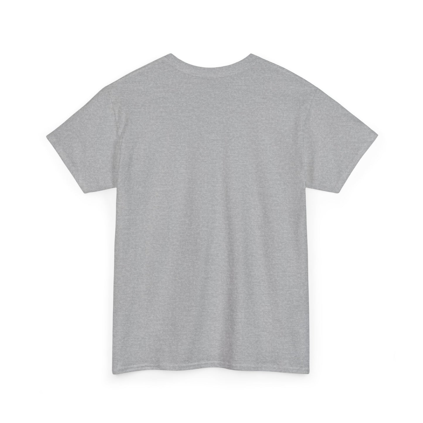 Funny Tee Shirt