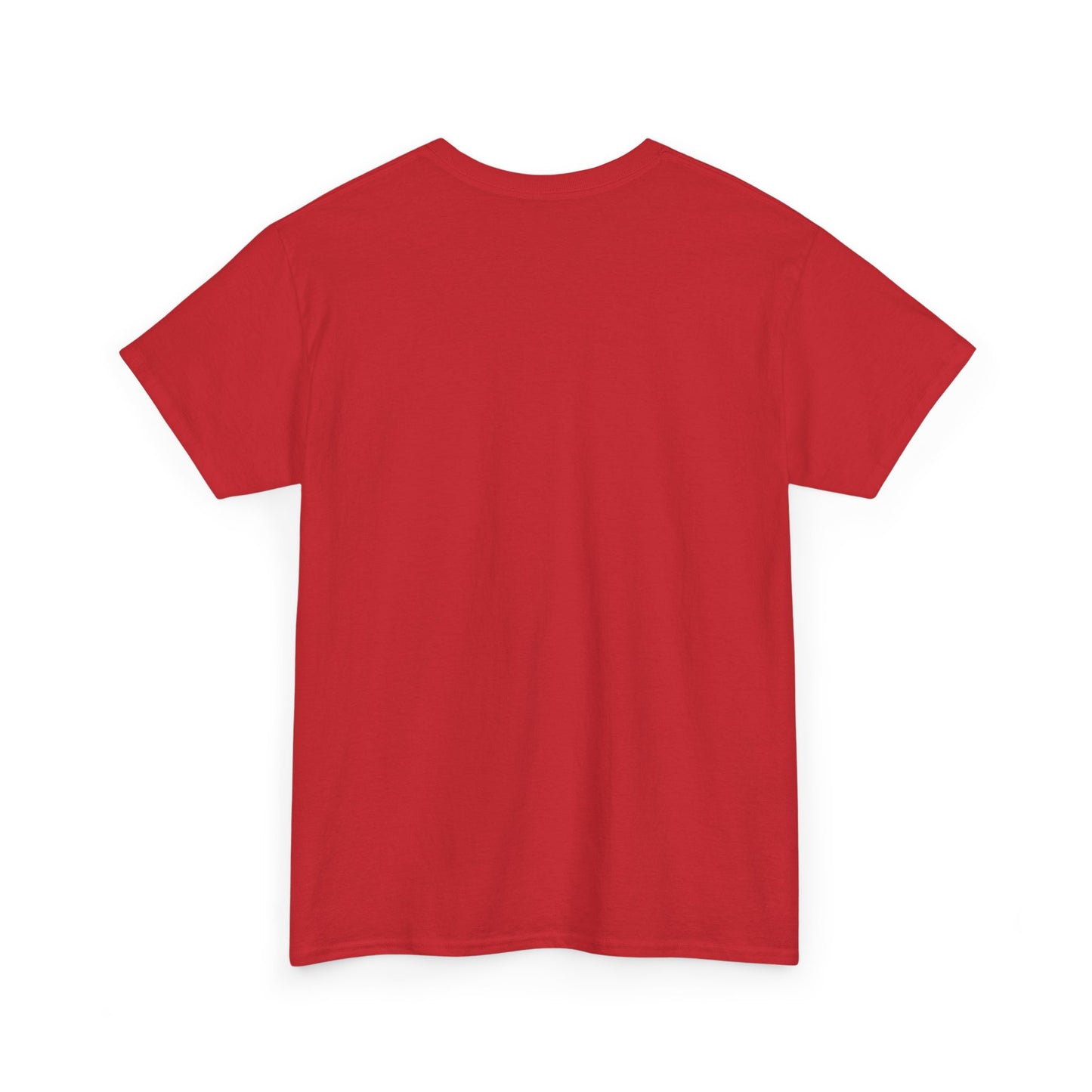 Funny Tee Shirt