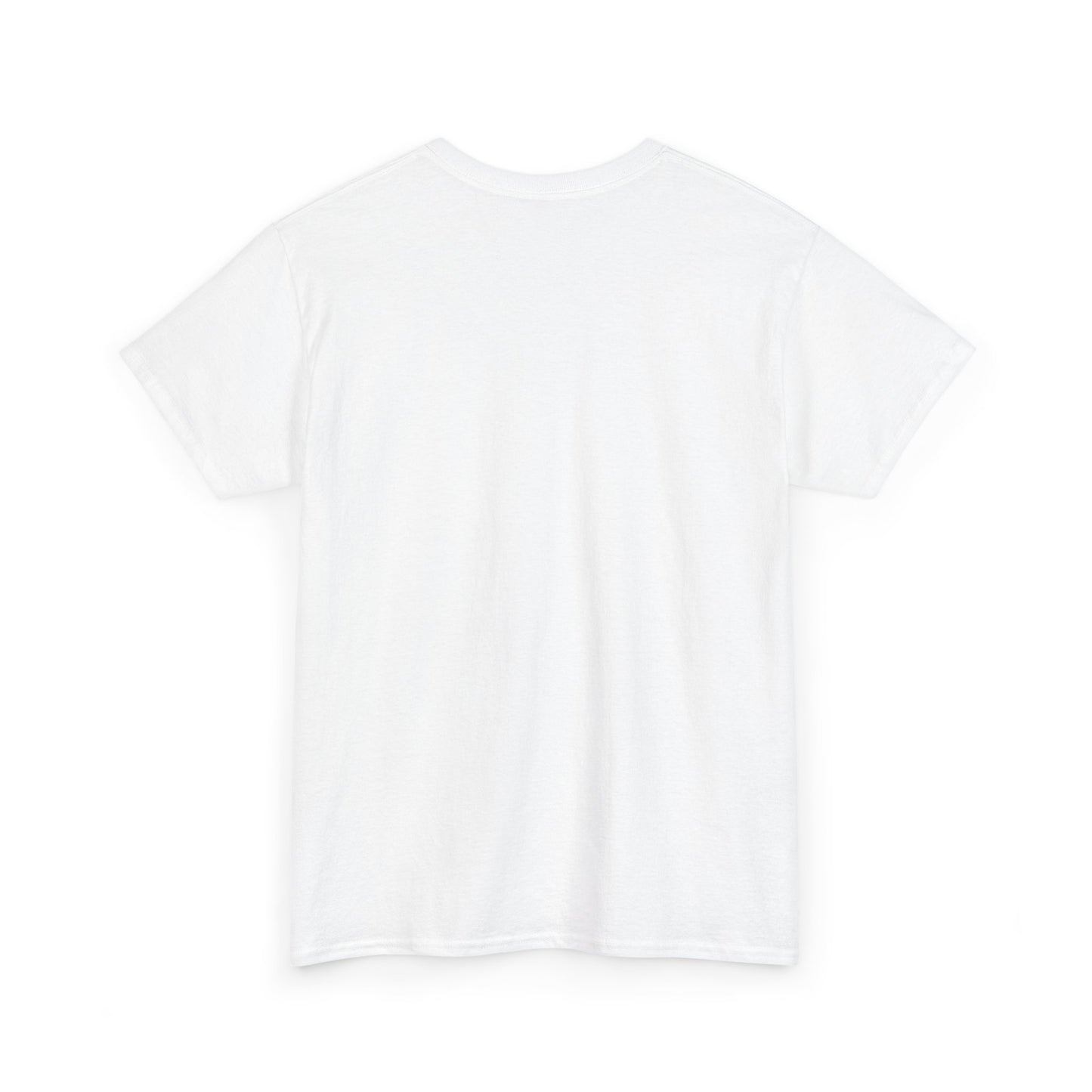 Funny Tee Shirt