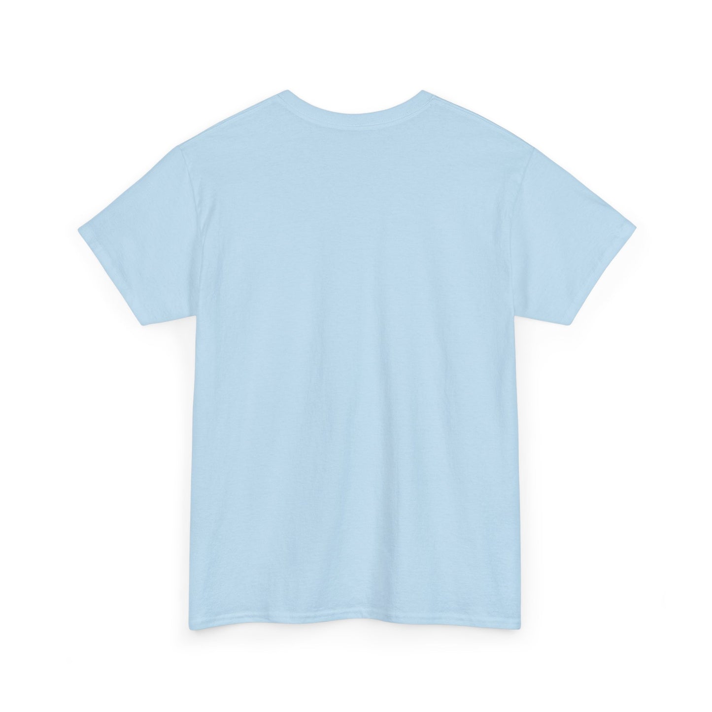 Funny Tee Shirt