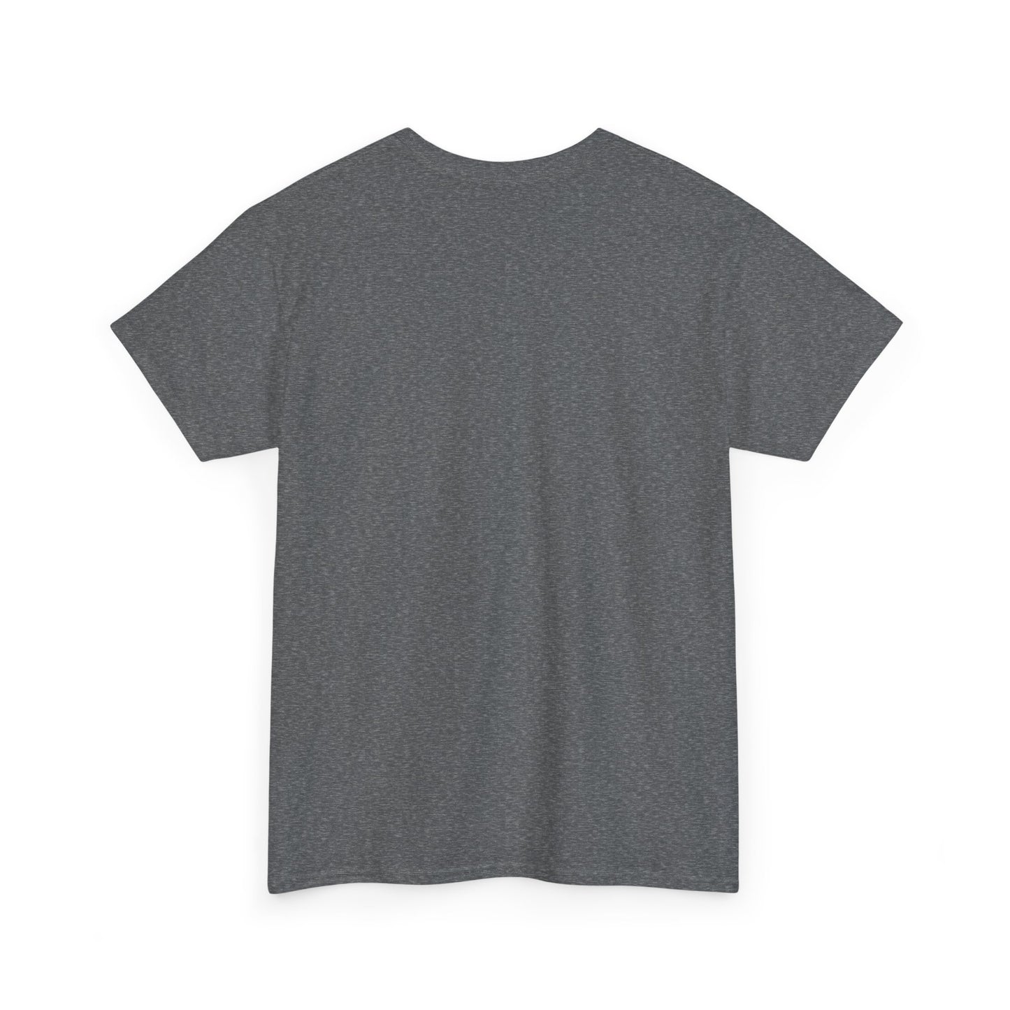 Funny Tee Shirt